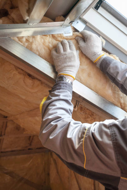  Ives Estates, FL Insulation Contractor Pros