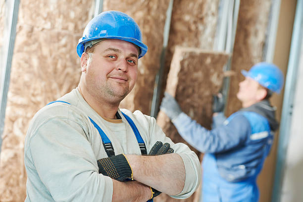 Best Types of Insulation in Ives Estates, FL